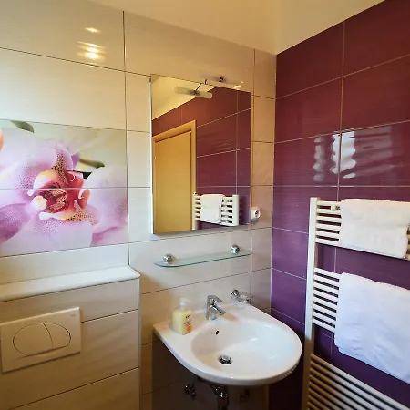 Apartman Vida-1 *